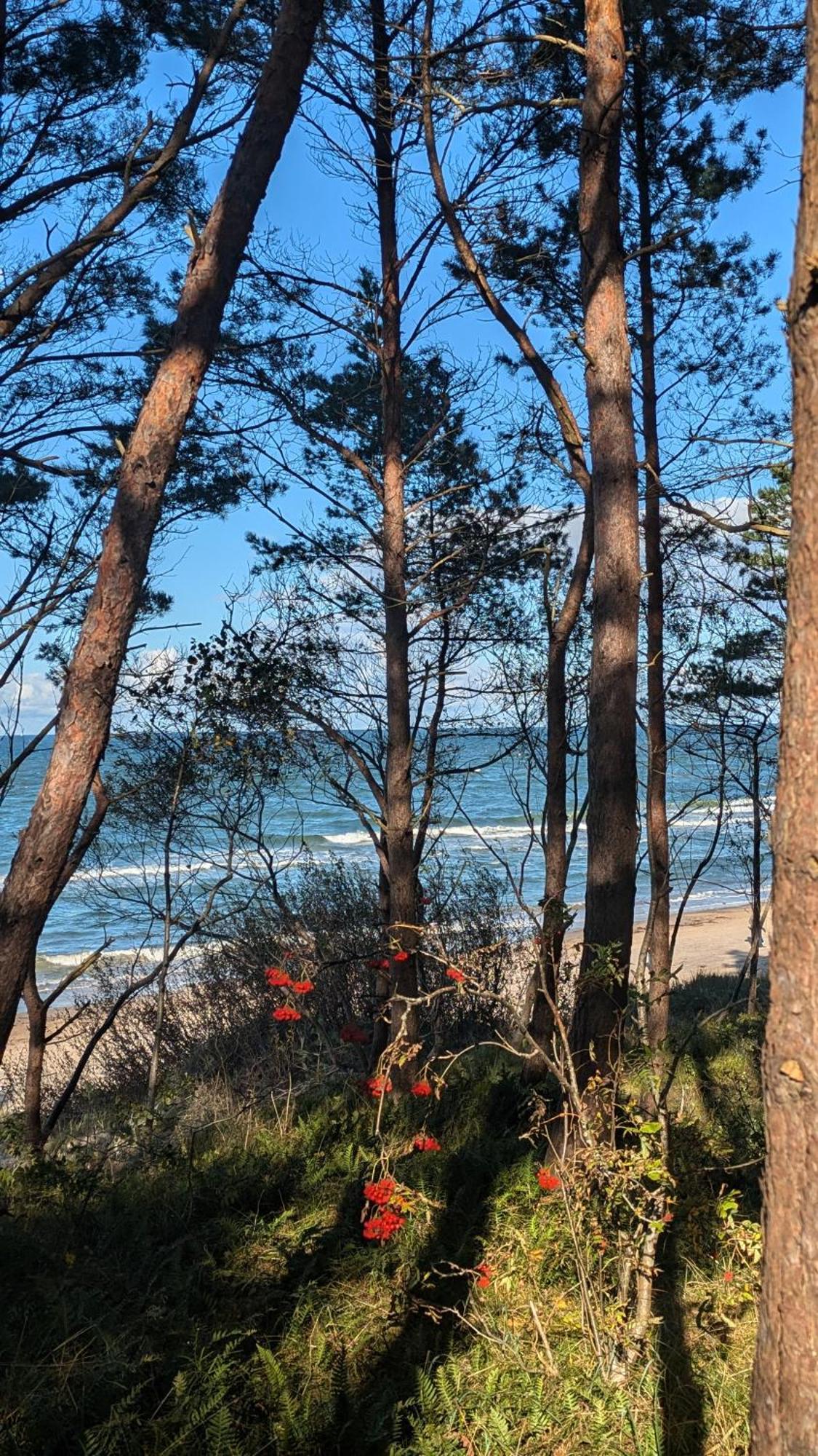 Pinea Baltic - Double Sea View - Apartment Z Widokiem Na Morze Pobierowo Eksteriør bilde